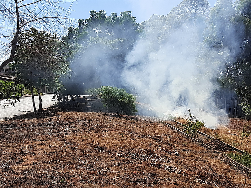 Contra a lei, queimadas preocupam por conta da estiagem