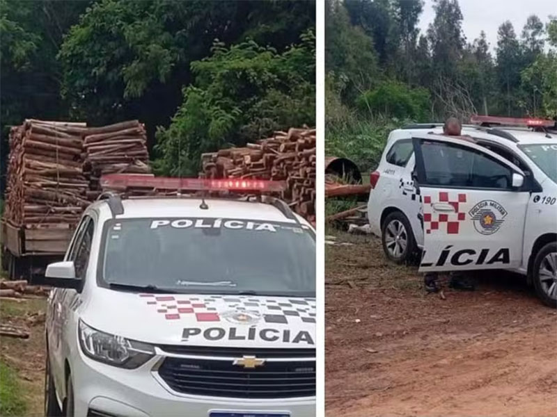 Trabalhador morre esmagado por carga de madeira no interior de SP