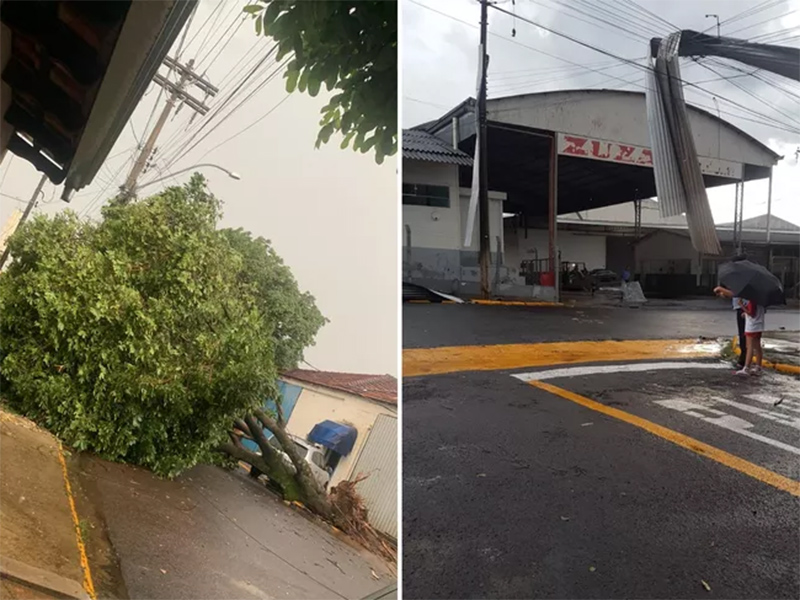 Tempestade com ventos provoca estragos em Pompeia