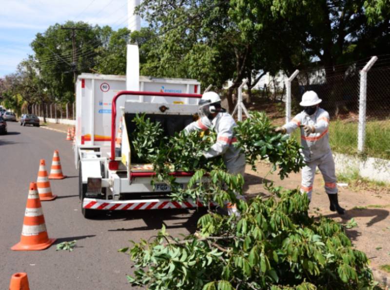 Focada na segurança da rede elétrica, Energisa reforça a importância de podas de árvores