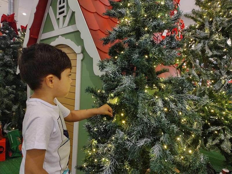 Pela segurança de crianças e pets, Energisa alerta sobre riscos de improvisar com enfeites luminosos