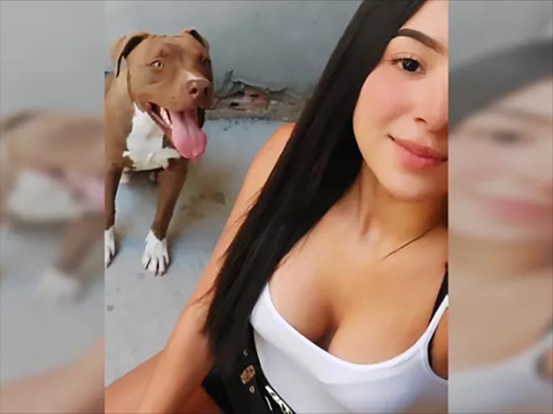 Dona de cão morto a tiros por policial civil durante confusão em Paraguaçu diz que animal era dócil