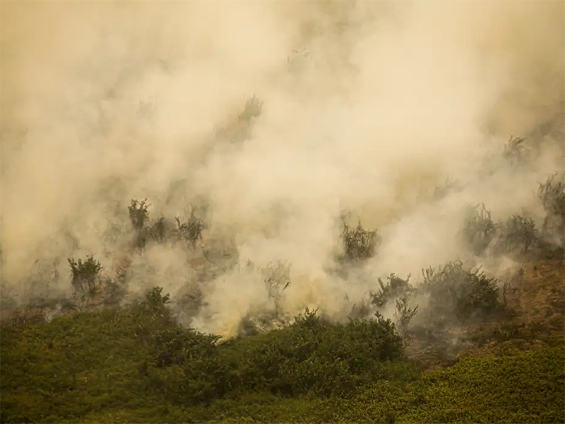 Defesa Civil de SP emite alerta para risco de incêndios florestais