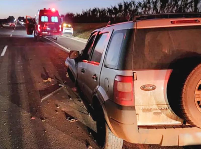 Homem morre ao bater carro na traseira de caminhão em rodovia de Palmital