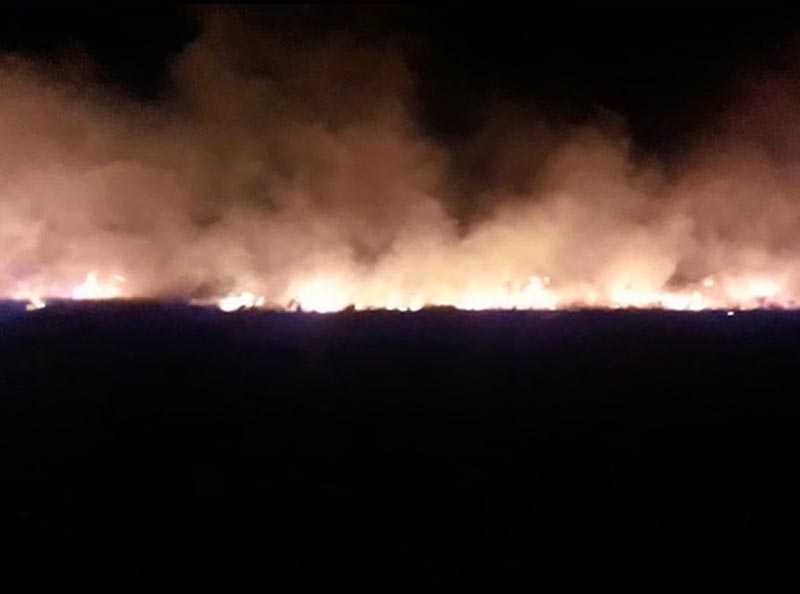 Incêndio de grandes proporções atinge mata e mobiliza bombeiros de Assis