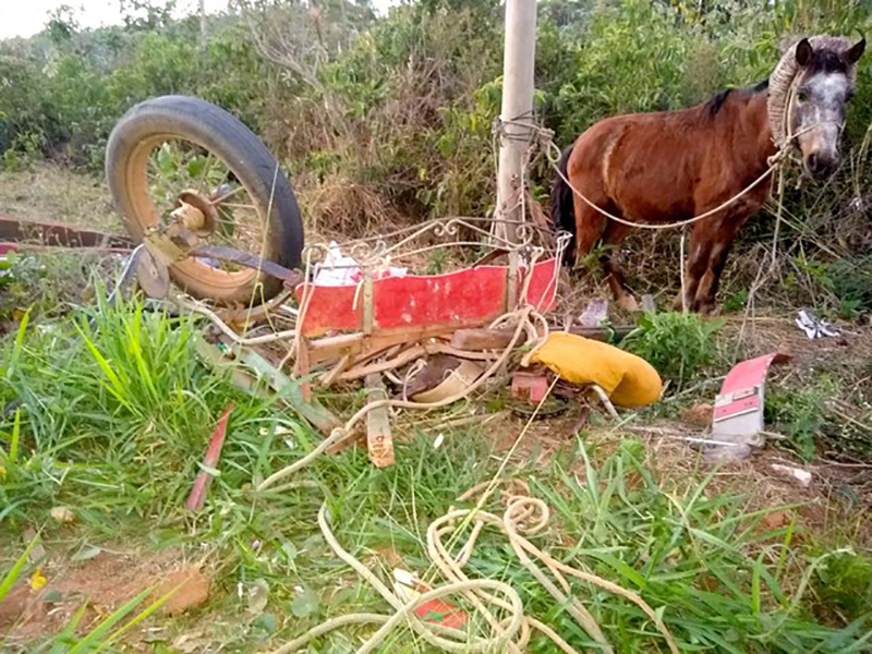 Homem em charrete morre após acidente com caminhonete em vicinal de Bastos