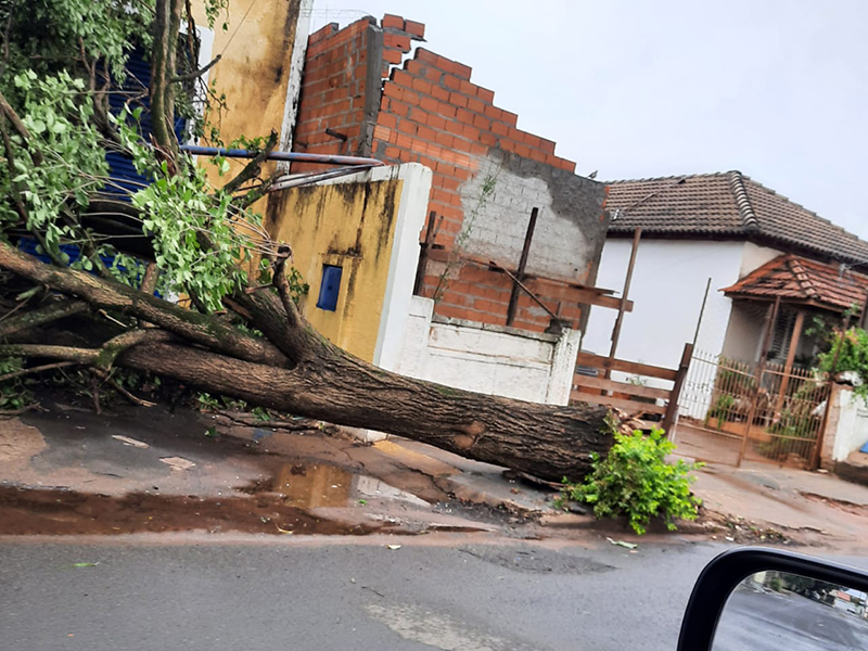 Defesa Civil faz o levantamento dos estragos causados pelo temporal em Paraguaçu