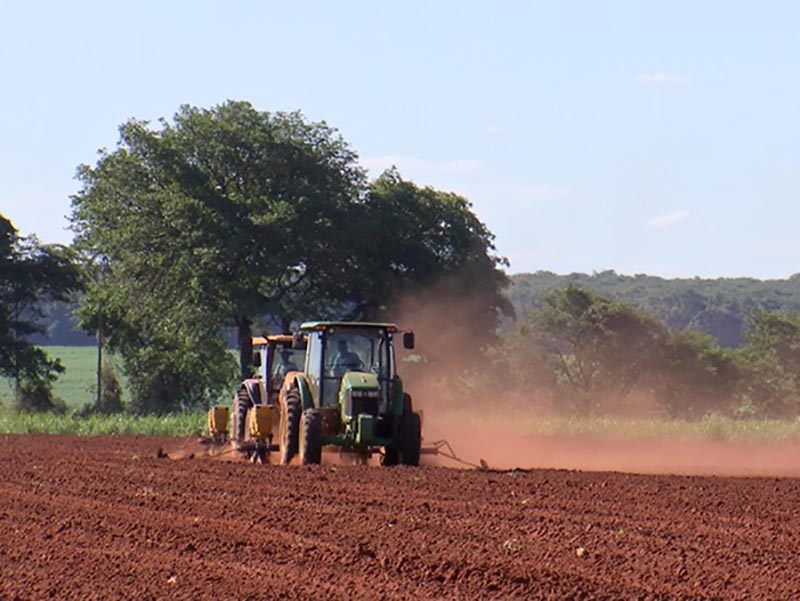 Estiagem atrasa início do plantio de amendoim em fazenda de Paraguaçu Paulista