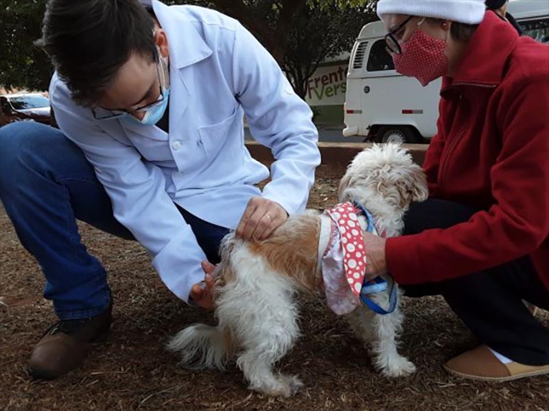 Hoje tem vacinação contra raiva em cães e gatos em Paraguaçu Paulista