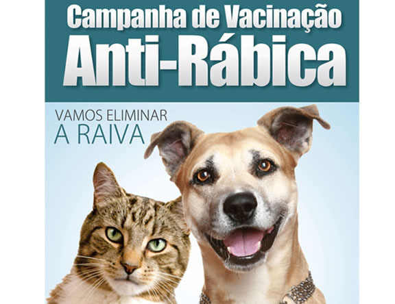 Vacinação contra a raiva em cães e gatos acontece em agosto em Paraguaçu