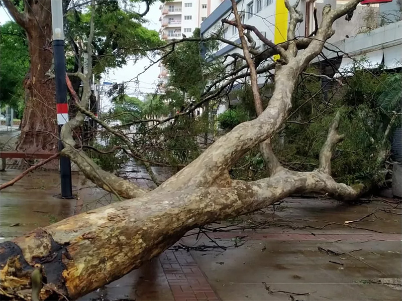 Chuva intensa e vento de mais de 86km/h provocam estragos na região de Presidente Prudente