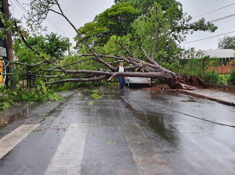 Paraguaçu decreta situação de emergência após vendaval