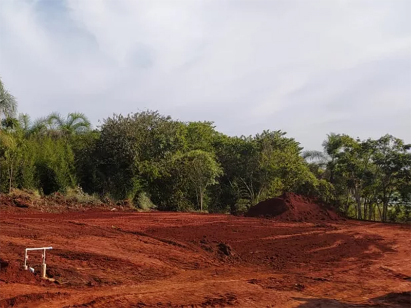 Para construir ranchos, homem faz derrubada irregular de árvores nativas em Rancharia