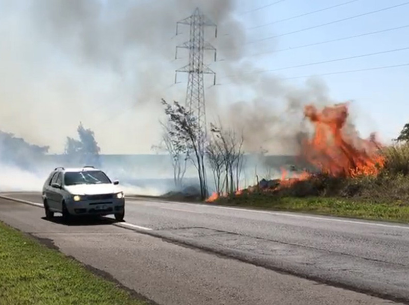 Um ano após tragédia que matou 5 pessoas, incêndio volta a atingir vegetação às margens da SP-284