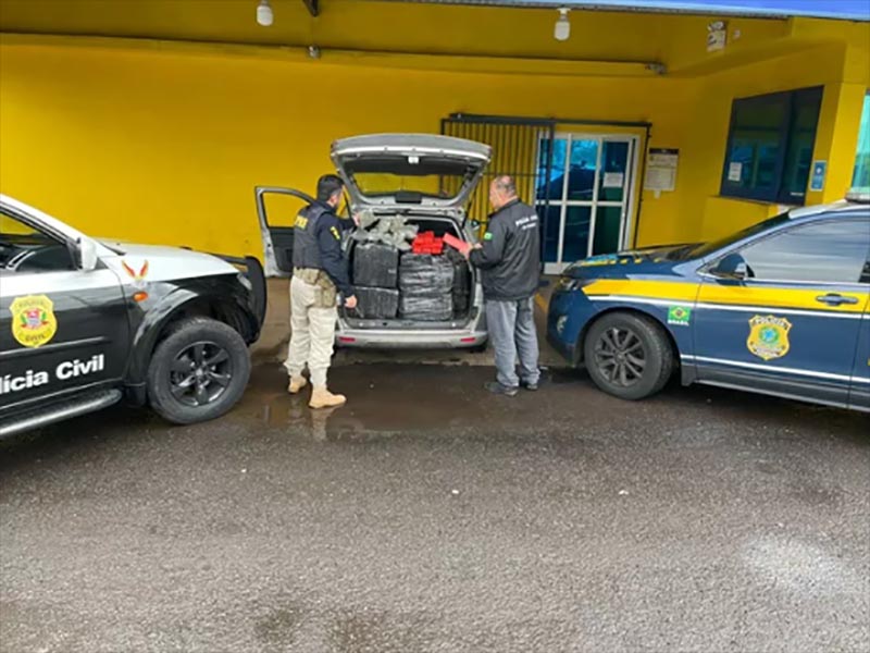 Polícia apreende carregamento de maconha em rodovia federal em Ourinhos