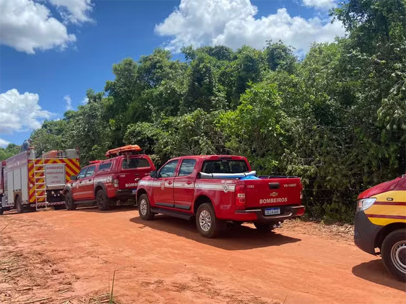 Mulheres são atacadas por enxame de abelhas e se perdem em mata; uma delas continua desaparecida