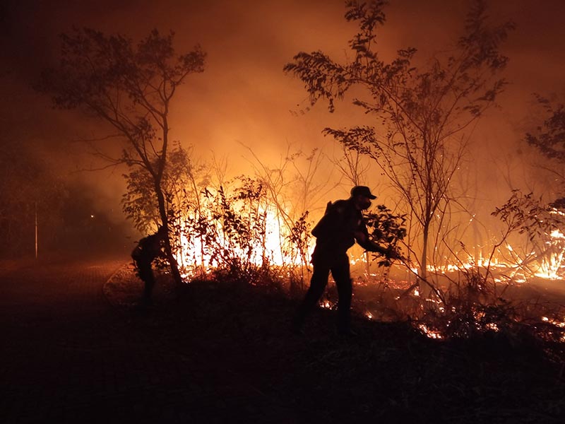 Guarda Municipal contém incêndio em mata no Centro de Convergência