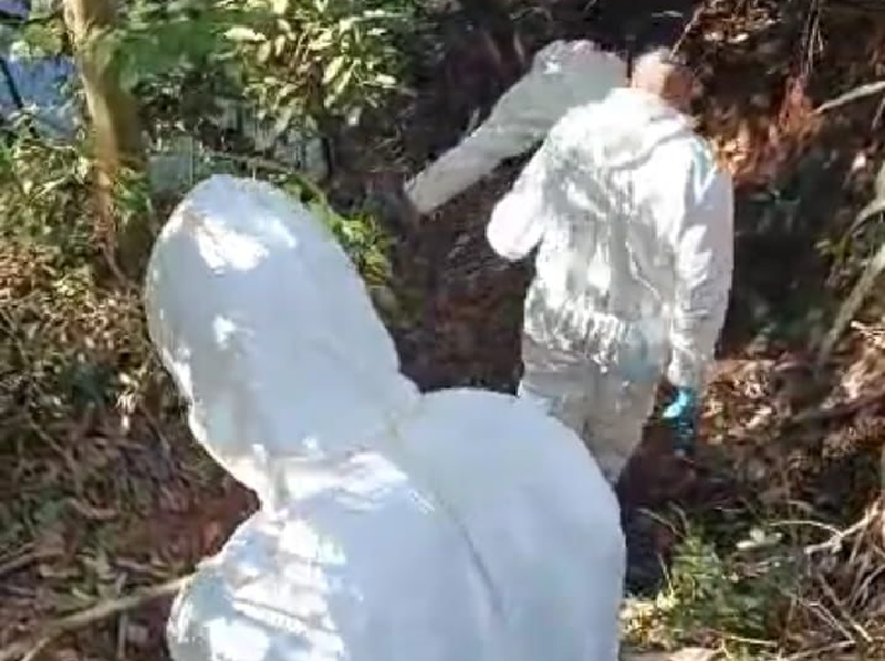 Vigilância em Saúde realiza vistoria em provável área de infecção de febre maculosa em Paraguaçu