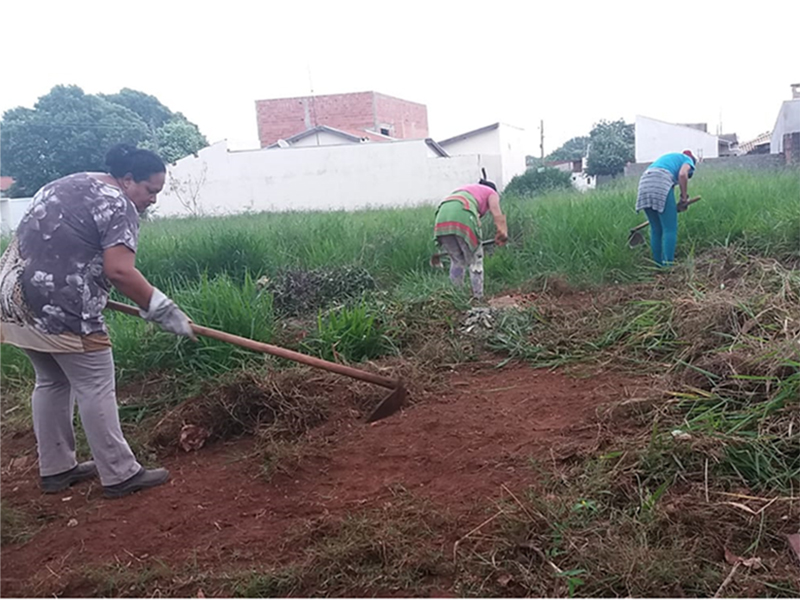 Proprietários notificados começam a limpar os terrenos baldios