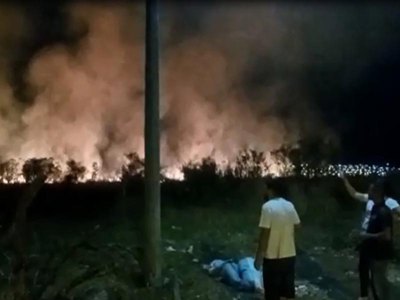 Queimada atinge área de vegetação em Assis e mobiliza o Corpo de Bombeiros