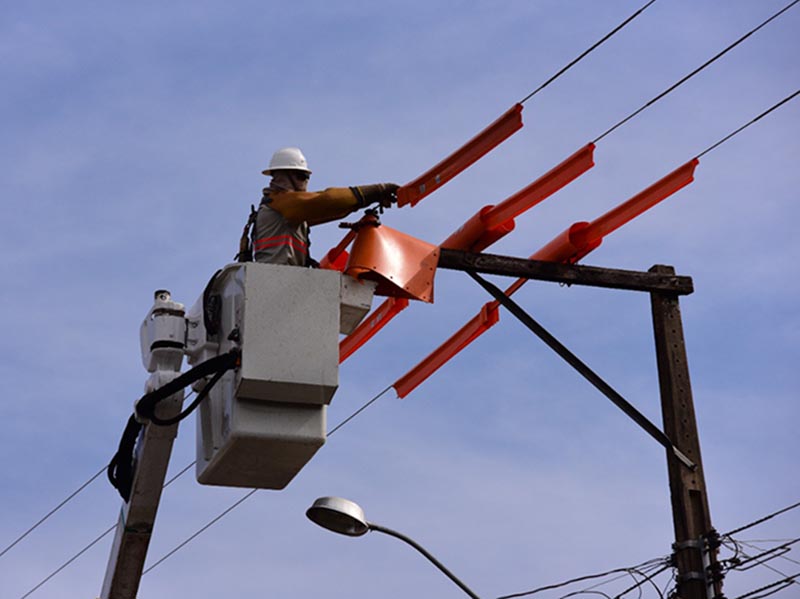 Energisa monta plano especial de atuação para o dia das eleições 