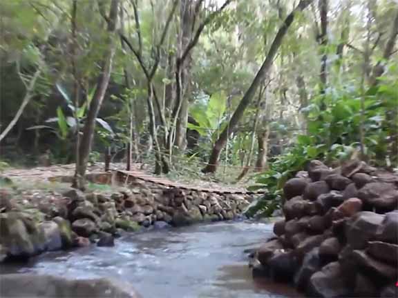 Devido a excesso de procura e depredações, proprietários proíbem uso da cachoeira do túnel