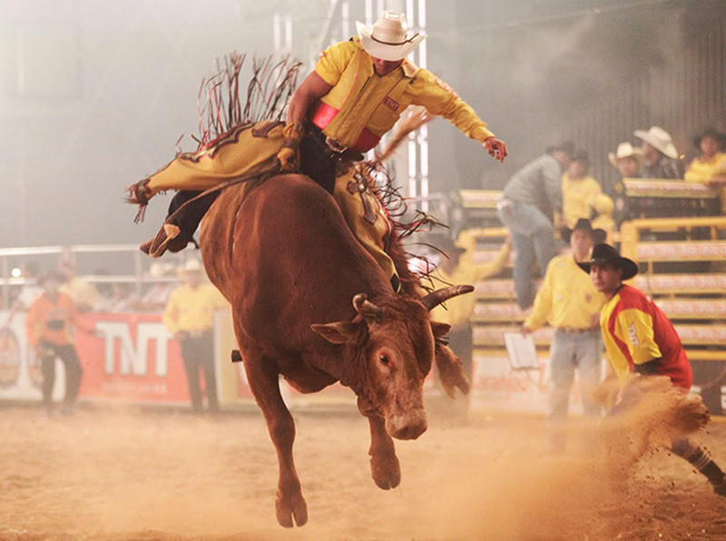 Rodeio In Fest de Borá será de 20 a 22 de dezembro