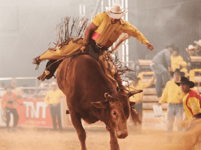 Maracaí Rodeio Fest acontece de 10 a 13 de novembro