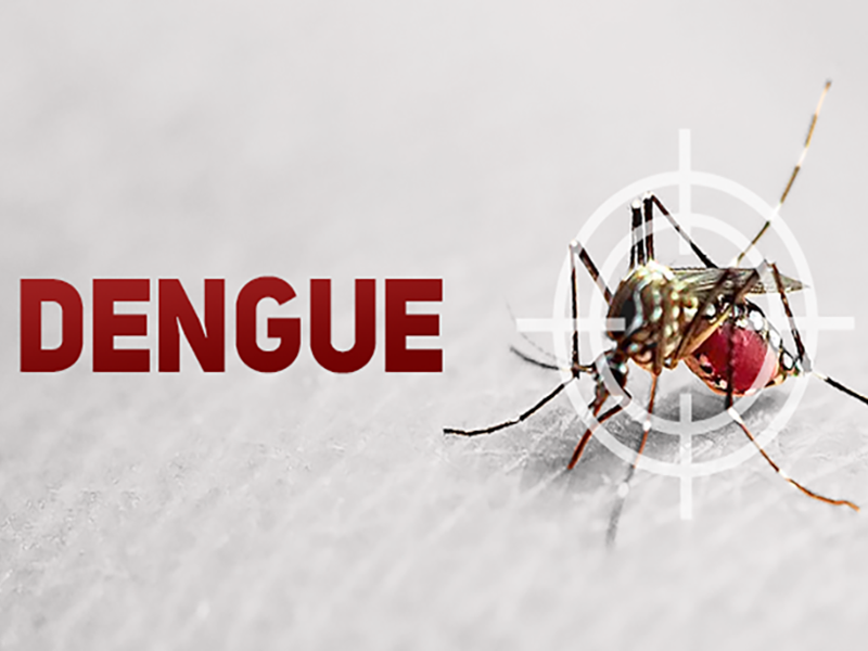 Prefeitura e ACE se unem e realizam Semana da Troca visando o combate à dengue em Paraguaçu