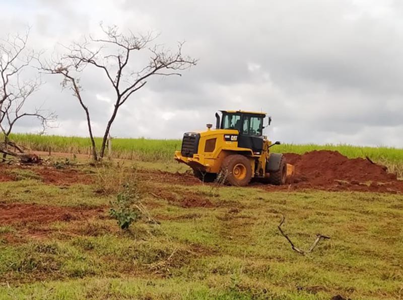 Empresa de terraplanagem é multada em R$ 14,7 mil pela derrubada de 49 árvores nativas em Iepê