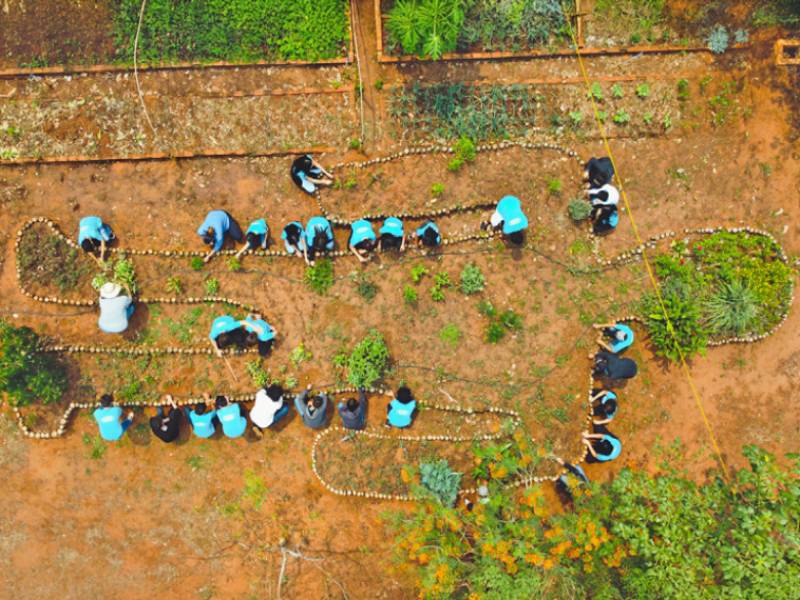 Plantas medicinais têm fins pedagógicos na Etec de Paraguaçu Paulista