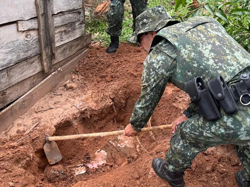 Homem é multado em R$ 10 mil por matar onça-parda com espingarda em Gália