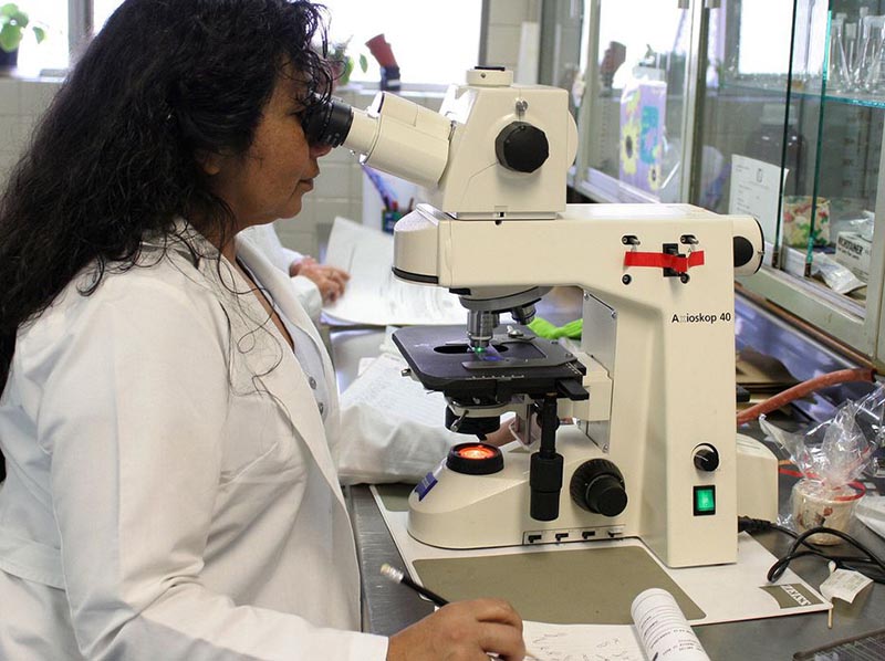 Empoderamento feminino no Brasil é médio-baixo mostra ONU