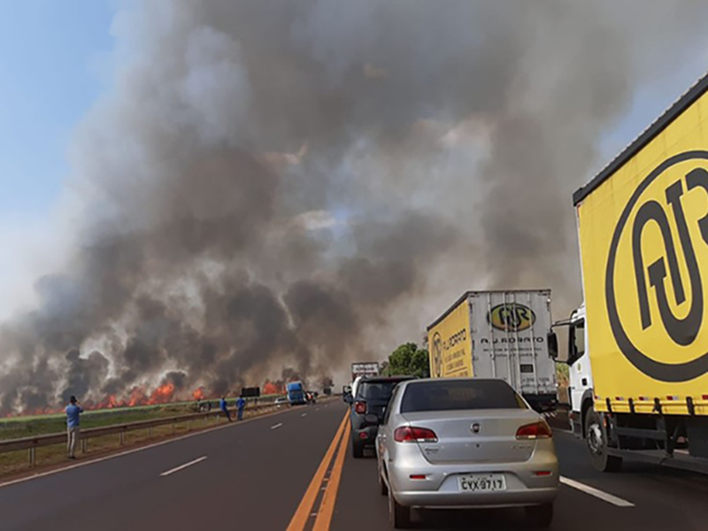 Incêndio em canavial fecha rodovia em Tarumã