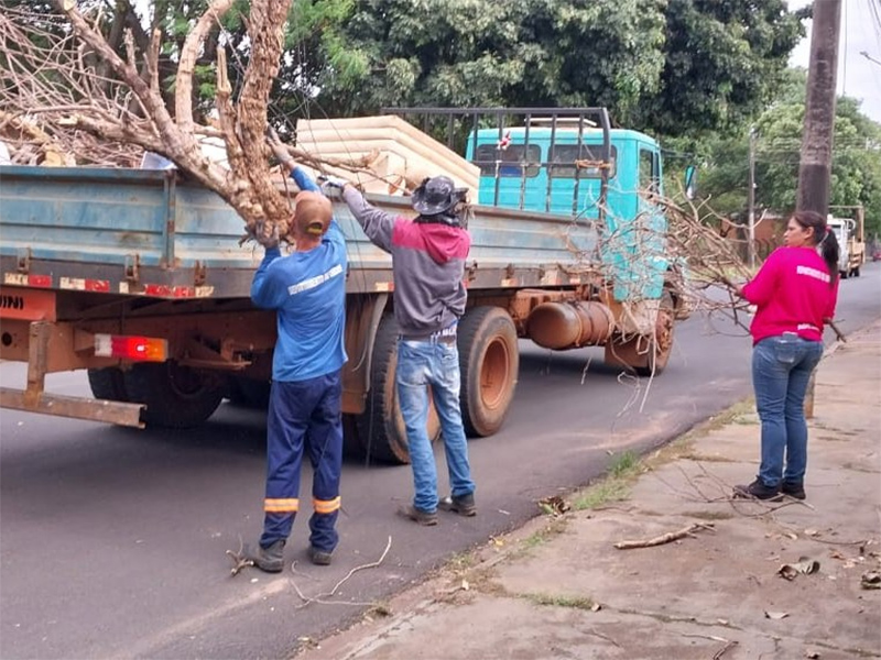 Prefeitura intensifica ações visando prevenir o aparecimento de escorpiões em Paraguaçu Paulista