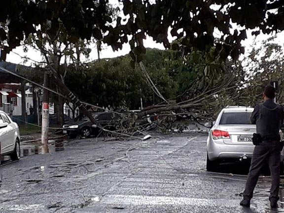 Chuva derruba árvore e poste no centro de Paraguaçu Paulista