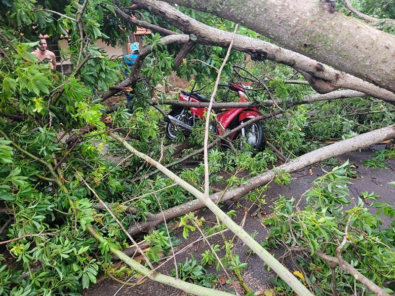 Chuva causa estragos e deixa cidades da região sem energia elétrica