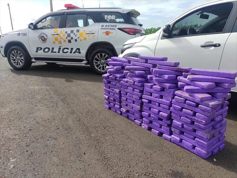 Motorista é preso com mais de 180 kg de maconha em Florínea