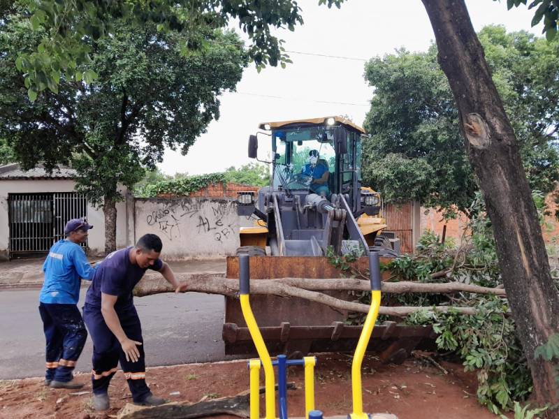 Saúde alerta para a importância do combate ao lixo irregular na prevenção de escorpiões