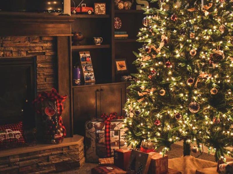 Árvore de Natal: conheça a história e o significado