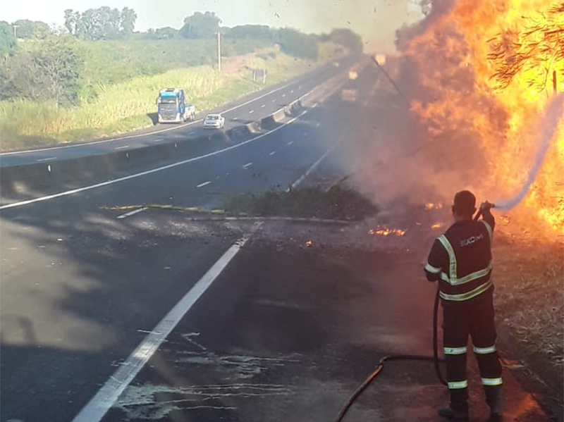 Chegada do inverno aumenta risco de queimadas em rodovias da região