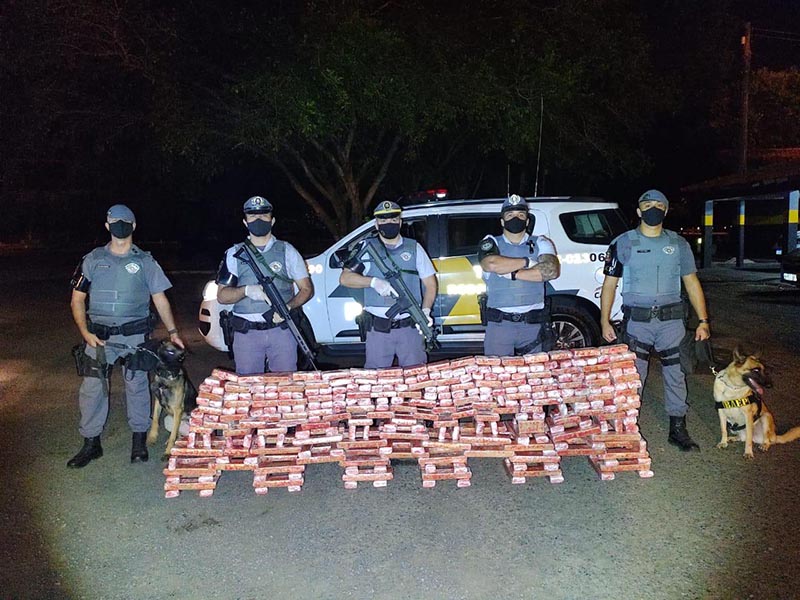 Polícia rodoviária apreende quase 200 kg de maconha em fundo falso de caminhão em Paraguaçu