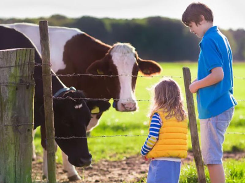 Curso de Turismo Rural tem inscrições abertas em Paraguaçu Paulista