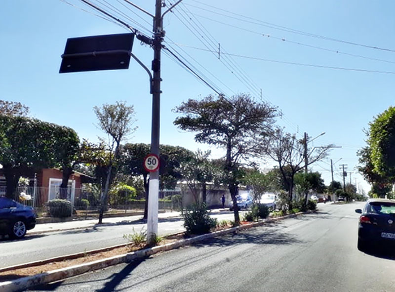 Prefeitura alerta sobre plantios de árvores em canteiros: 'colocam a vida de outros em risco'