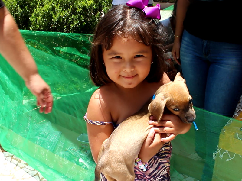 Protetores voluntários realizam Feira de Adoção de Animais em Paraguaçu