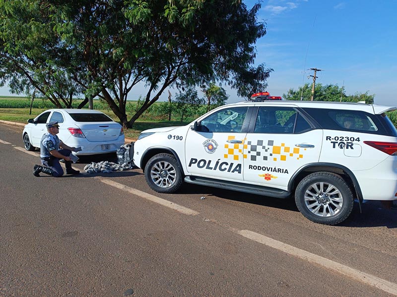 Polícia Rodoviária prende homem com mais de 170 pacotes de skunk em Palmital