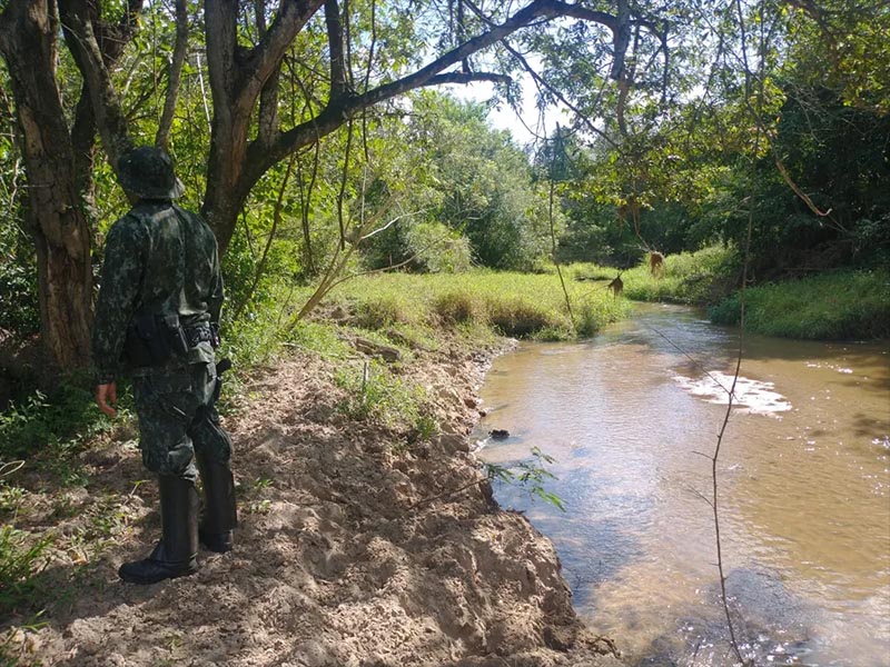 Homem é multado em mais de R$ 45 mil por pisoteio de gado em área de preservação permanente em Garça