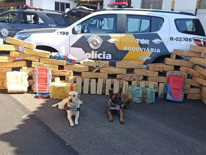 Polícia Rodoviária apreende mais de uma tonelada de maconha em fundo falso de caminhão