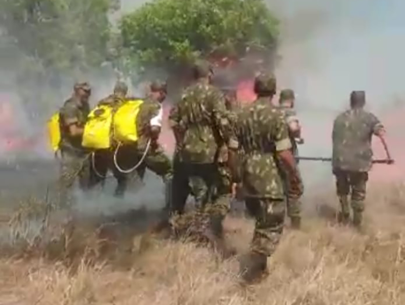 TG de Paraguaçu participa de treinamento de brigadistas com o Corpo de Bombeiros