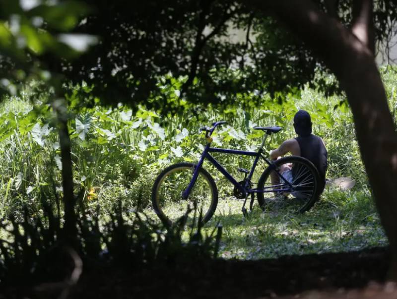 Outono inicia nesta segunda-feira; veja como será a nova estação